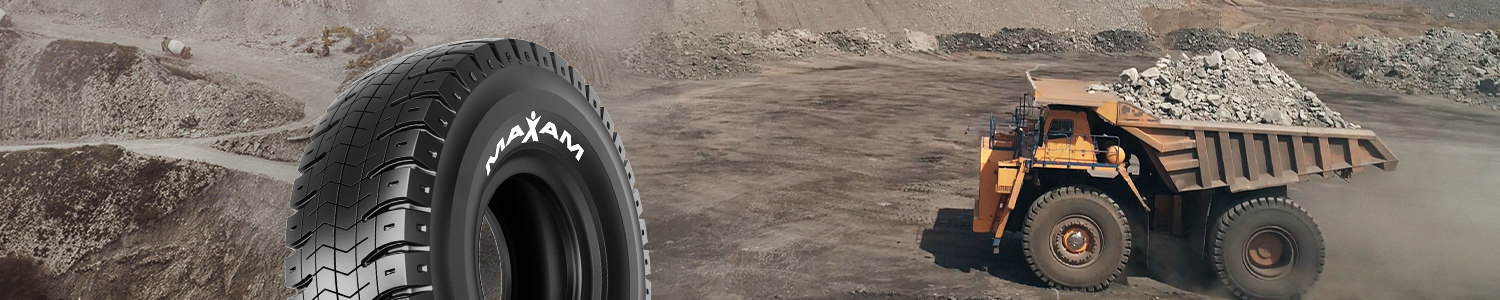 2025 MAXAM directory 1500x300 banner 2