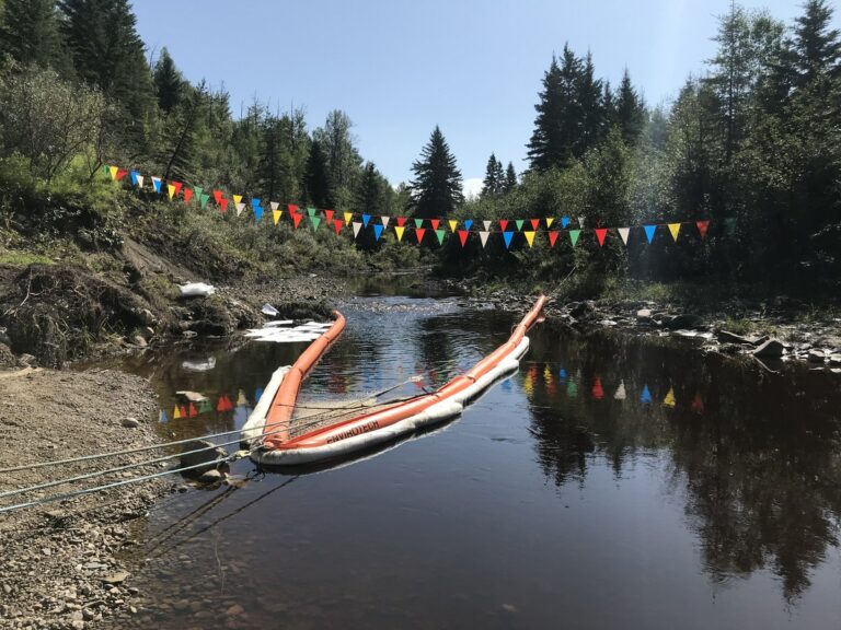 IMG 0356 768x576